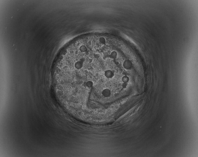 X0000082941267200703020119