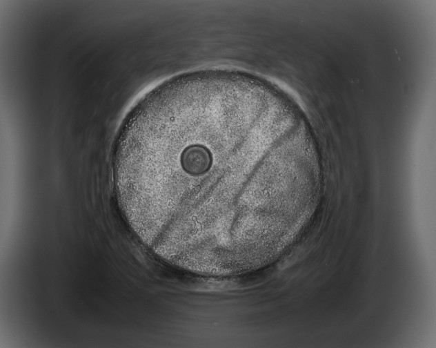 X0000082941271200703020119