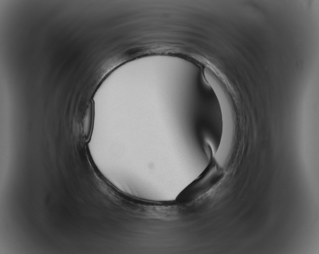 X0000082941281200703020119