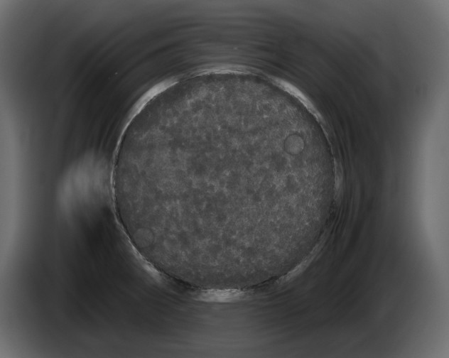 X0000082941282200703020119