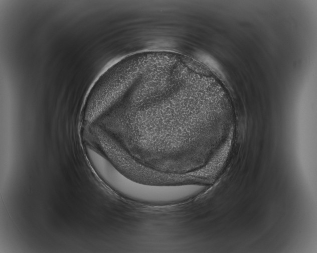 X0000082941284200703020119