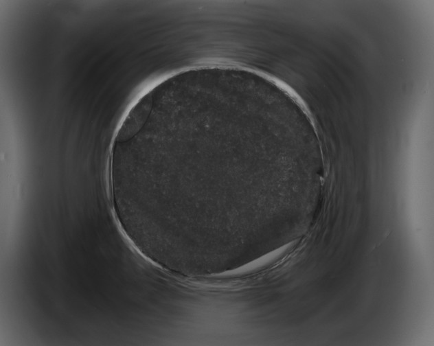 X0000082941295200703020119