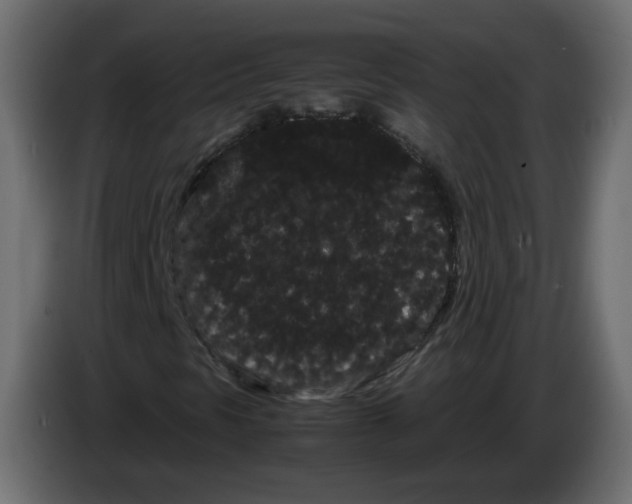 X0000082941297200703020118