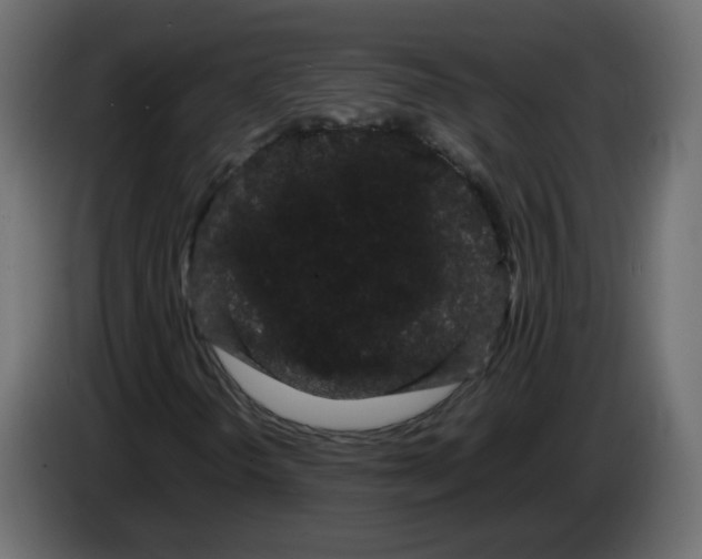 X0000082941298200703020118