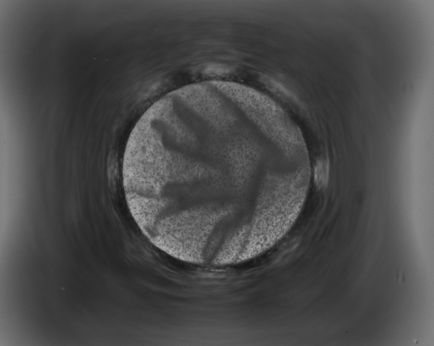 X0000082941299200703020118