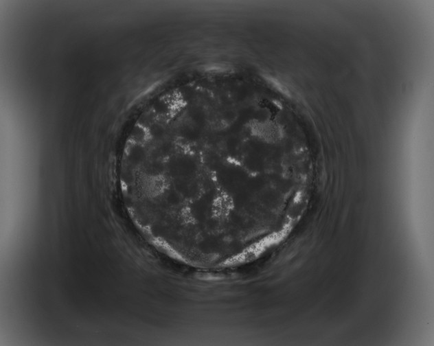 X0000082941301200703020118