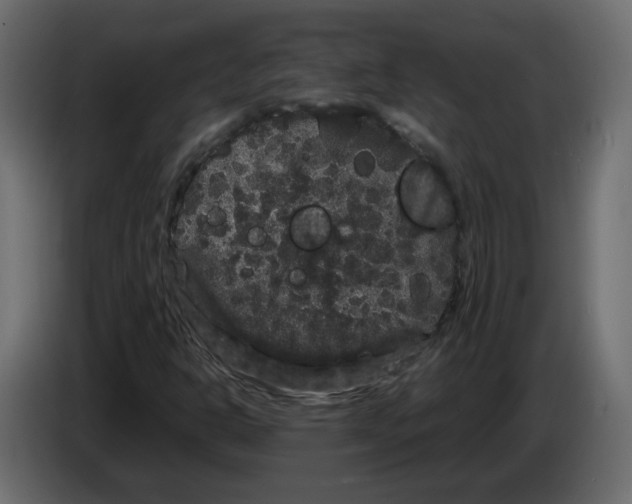 X0000082941302200703020118