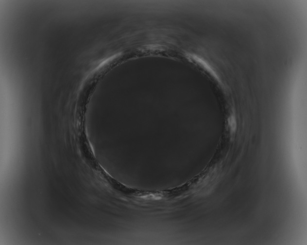 X0000082941303200703020118