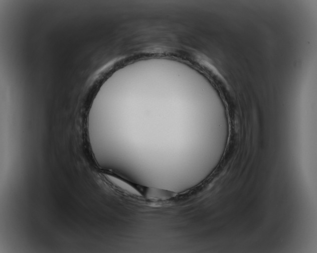 X0000082941304200703020118