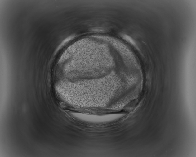 X0000082941307200703020118