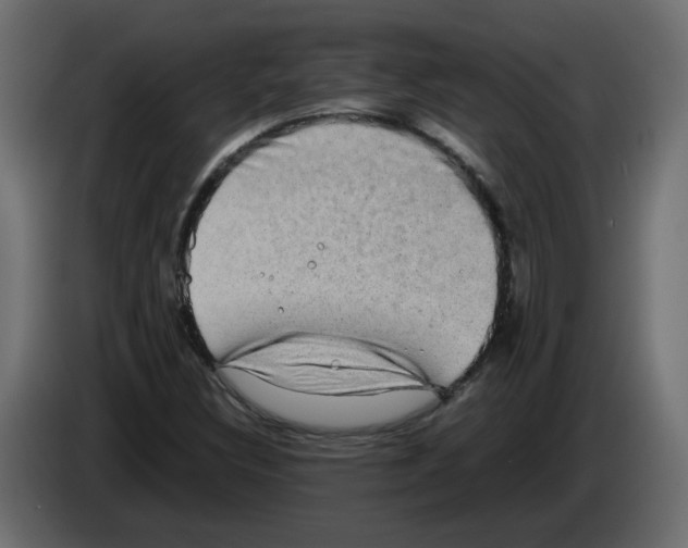 X0000082941308200703020118