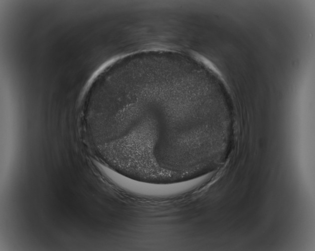 X0000082941310200703020118