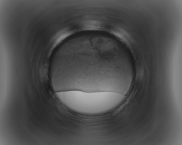 X0000082941314200703020118