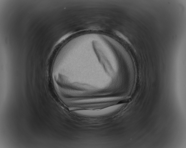 X0000082941315200703020118