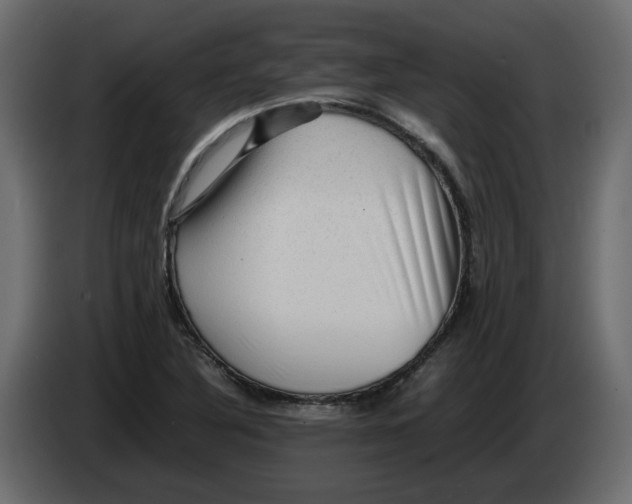 X0000082941316200703020118