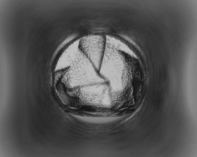 X0000082941317200703020118