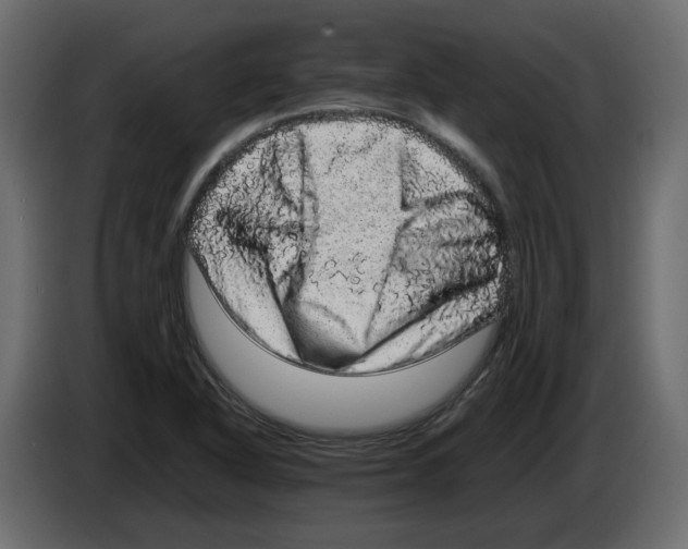 X0000082941318200703020118