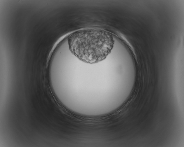 X0000082941320200703020118