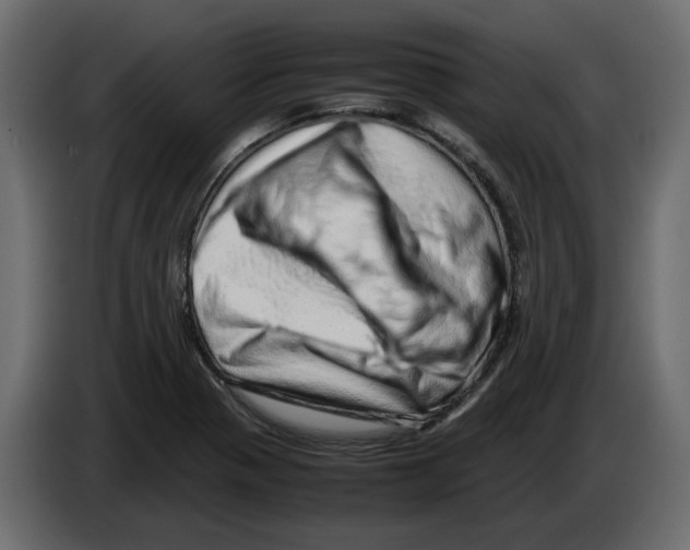 X0000082941321200703020119