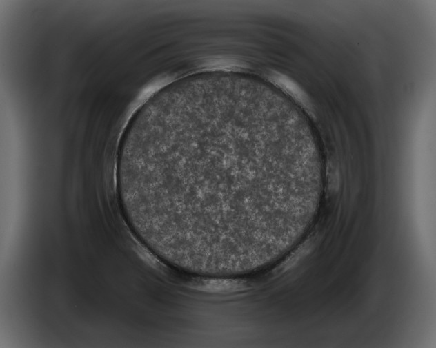 X0000082941322200703020119