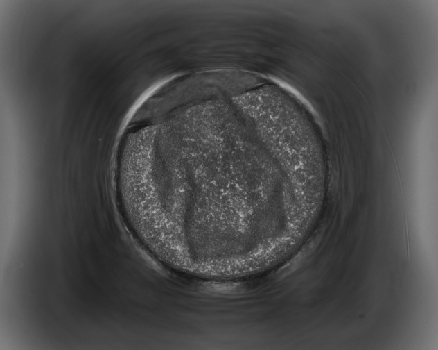 X0000082941325200703020119