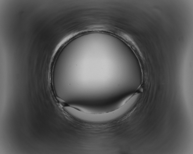 X0000082941328200703020119