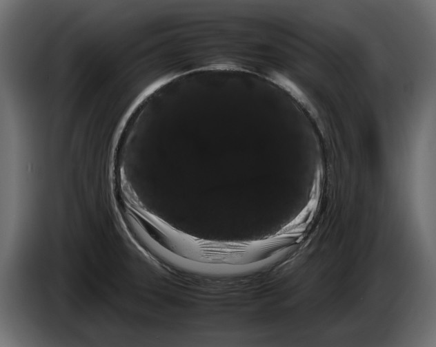 X0000082941331200703020119