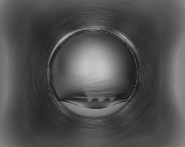 X0000082941332200703020119