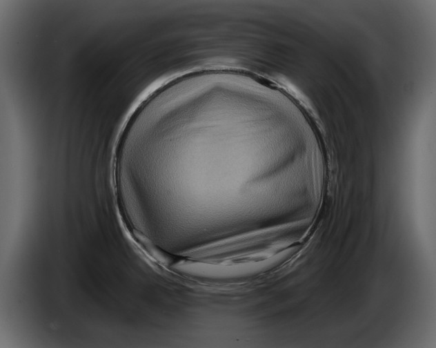 X0000082941342200703020119