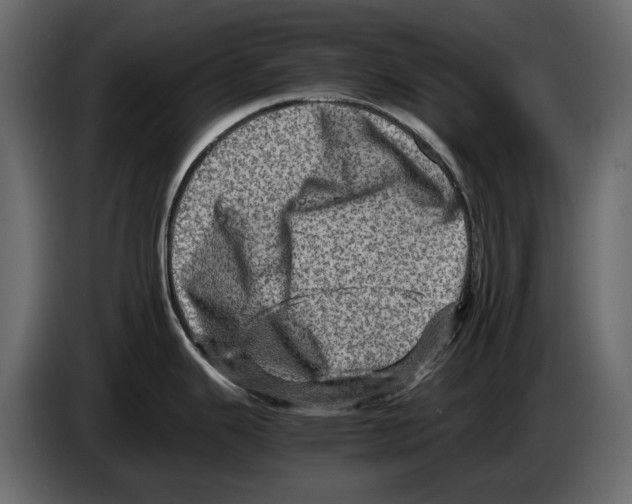 X0000082941343200703020119