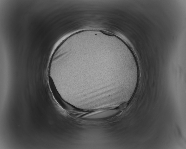 X0000082941344200703020119