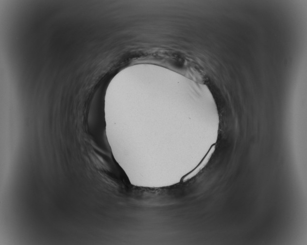 X0000082941345200703020118