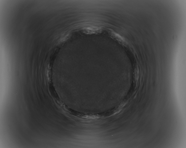 X0000082941346200703020118