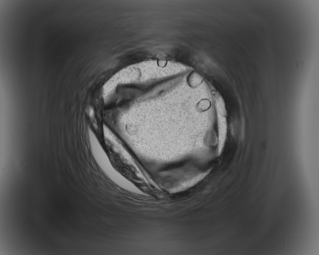 X0000082941347200703020118