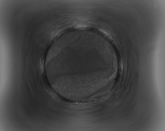 X0000082941348200703020118