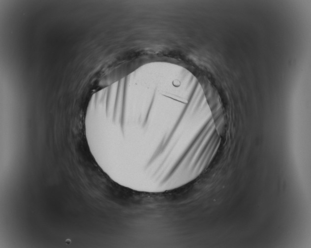 X0000082941349200703020118