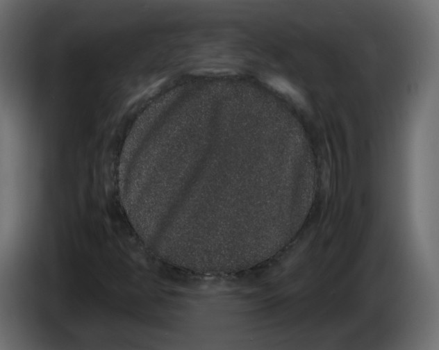 X0000082941350200703020118