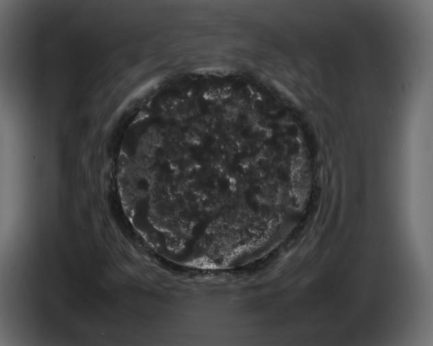 X0000082941351200703020118