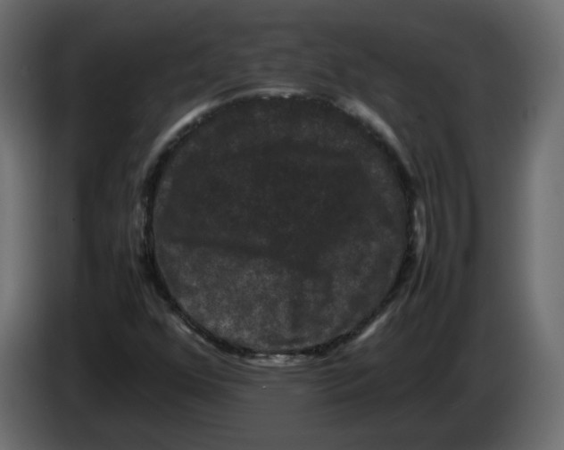 X0000082941352200703020118