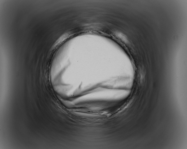 X0000082941354200703020118