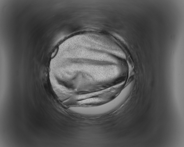 X0000082941355200703020118