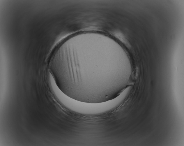 X0000082941356200703020118