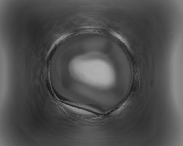 X0000082941357200703020118