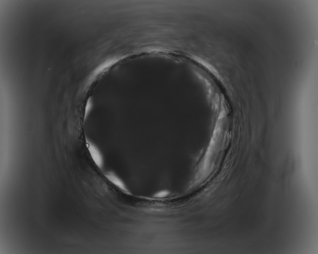 X0000082941359200703020118