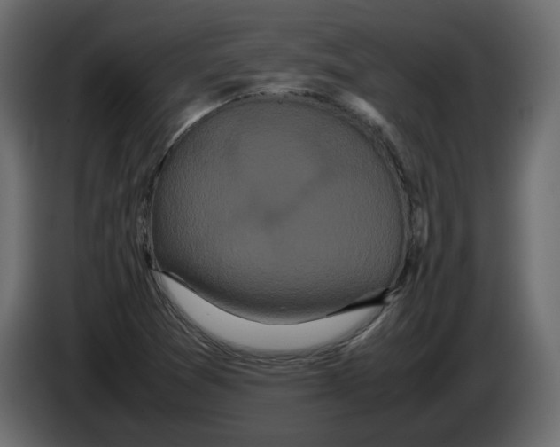 X0000082941361200703020118