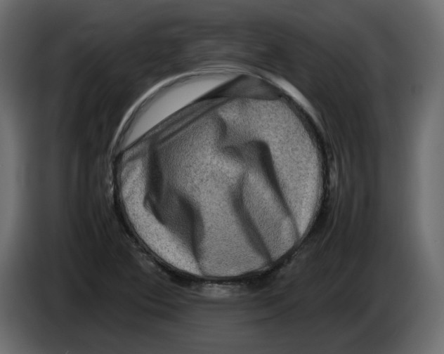 X0000082941364200703020118