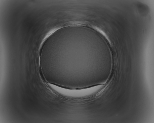 X0000082941365200703020118