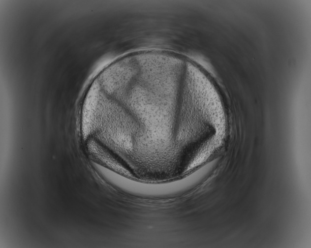 X0000082941366200703020118