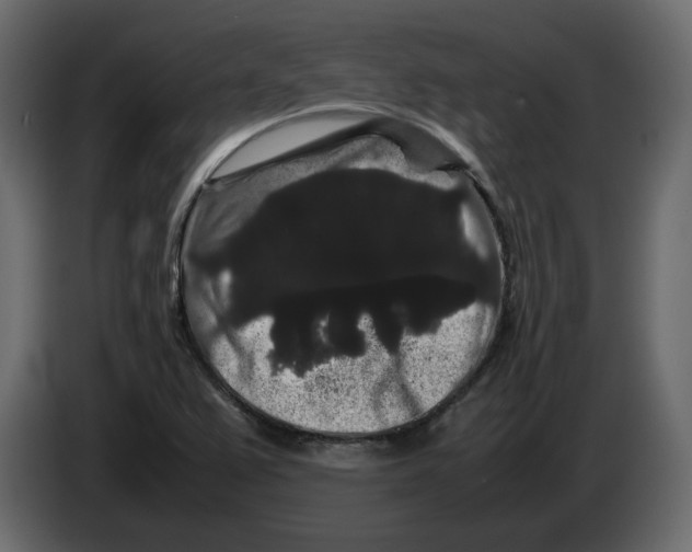 X0000082941367200703020118