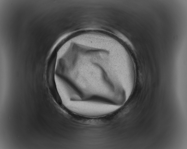 X0000082941368200703020118